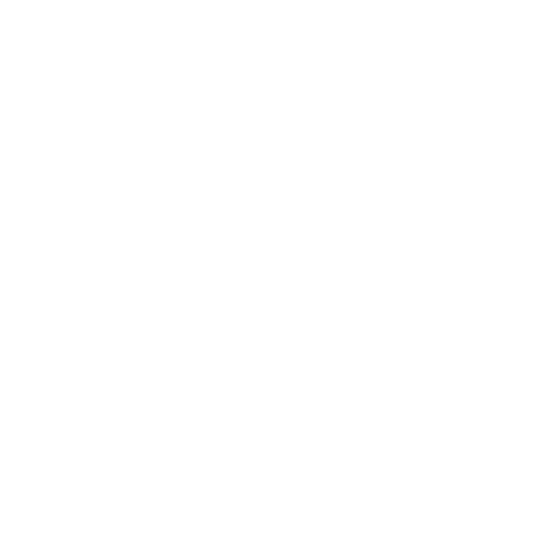 Accompagnement à la naissance